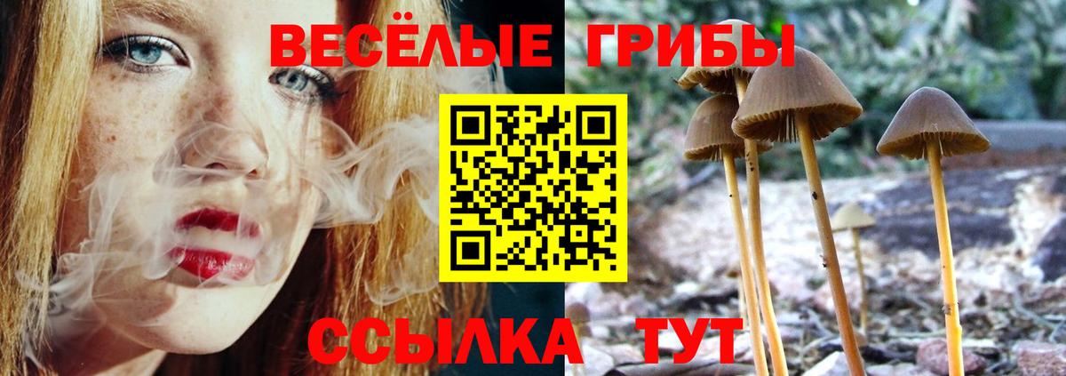 Галлюциногенные грибы Cubensis Борзя