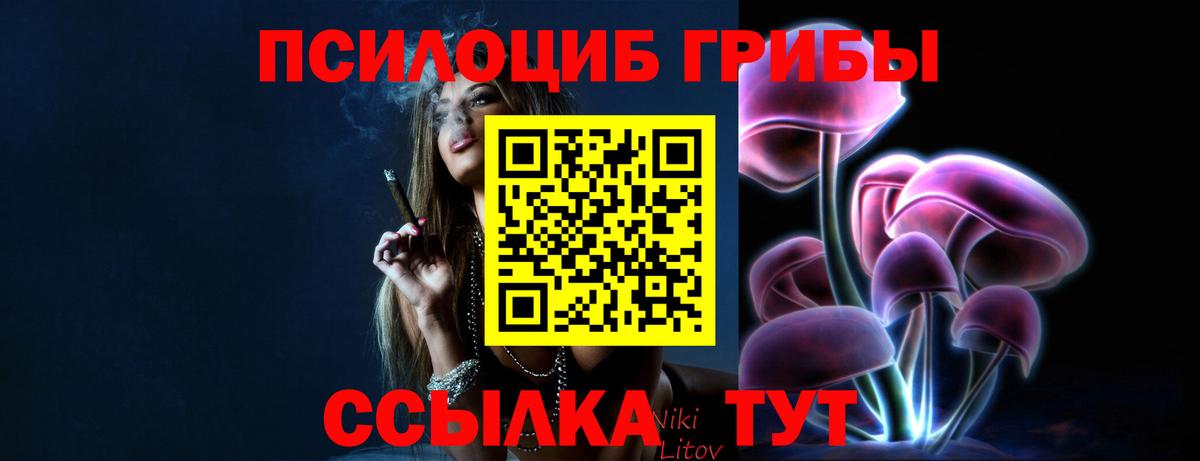 цены наркотик  Вход с VPN  Борзя  Псилоцибиновые грибы Psilocybine cubensis 